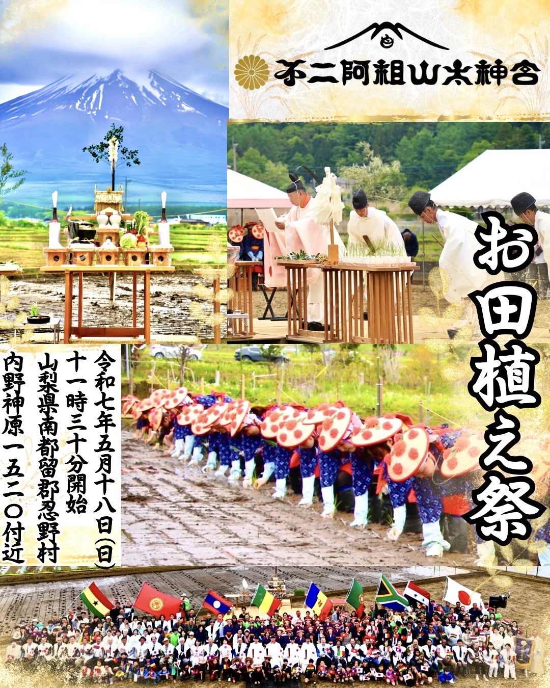 NEWS